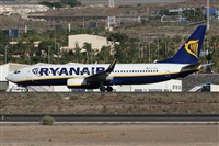 Alfonso Sols - Asociacin Canary Islands Spotting. Click to see full size photo