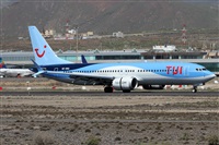 Alfonso Sols - Asociacin Canary Islands Spotting. Click to see full size photo