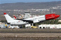 Alfonso Sols - Asociacin Canary Islands Spotting. Click to see full size photo