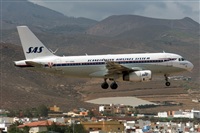 Adolfo Bento - Gran Canaria Spotters. Click to see full size photo