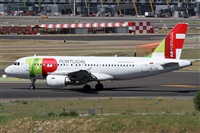 Alfonso Sols - Asociacin Canary Islands Spotting. Click to see full size photo