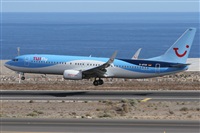 Alfonso Sols - Asociacin Canary Islands Spotting. Click to see full size photo