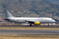 Javier de la Cruz - CANARY ISLANDS SPOTTING. Click to see full size photo