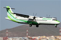 Alfonso Sols - Asociacin Canary Islands Spotting. Click to see full size photo