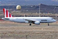 Miguel A. gueda Rguez.  (CANARY ISLANDS SPOTTING). Click to see full size photo