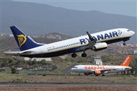 Alfonso Sols - Asociacin Canary Islands Spotting. Click to see full size photo