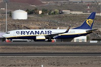 Alfonso Sols - Asociacin Canary Islands Spotting. Haz click para ampliar