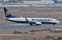 Alejandro Bethencourt (Canary Islands Spotting). Click to see full size photo