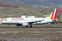 Alfonso Sols - Asociacin Canary Islands Spotting. Click to see full size photo