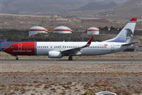 Alfonso Sols - Asociacin Canary Islands Spotting. Click to see full size photo