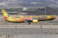 Miguel A. gueda Rguez.  (CANARY ISLANDS SPOTTING). Click to see full size photo