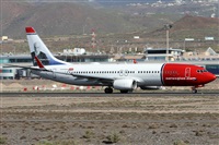 Alfonso Sols - Asociacin Canary Islands Spotting. Click to see full size photo