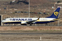 Alfonso Sols - Asociacin Canary Islands Spotting. Click to see full size photo