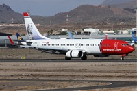 Alfonso Sols - Asociacin Canary Islands Spotting. Click to see full size photo