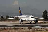 Jos Miguel Bernases - Noisy Spotters. Click to see full size photo