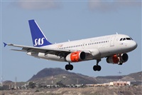 Alfonso Sols - Asociacin Canary Islands Spotting. Click to see full size photo