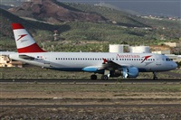 Alfonso Sols - Asociacin Canary Islands Spotting. Click to see full size photo