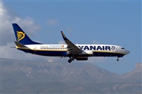 Javier de la Cruz - CANARY ISLANDS SPOTTING. Click to see full size photo