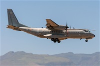 Adolfo Bento - Gran Canaria Spotters. Click to see full size photo