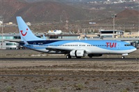 Alfonso Sols - Asociacin Canary Islands Spotting. Click to see full size photo