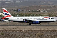 Alfonso Sols - Asociacin Canary Islands Spotting. Haz click para ampliar 