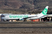 Alfonso Sols - Asociacin Canary Islands Spotting. Click to see full size photo