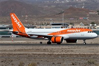 Alfonso Sols - Asociacin Canary Islands Spotting. Click to see full size photo