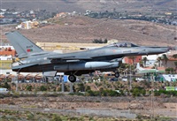 Alejandro H.L - Gran Canaria Spotters. Click to see full size photo