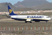 Alfonso Sols - Asociacin Canary Islands Spotting. Click to see full size photo