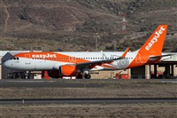 Alfonso Sols - Asociacin Canary Islands Spotting. Click to see full size photo