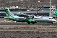 Alfonso Sols - Asociacin Canary Islands Spotting. Haz click para ampliar 