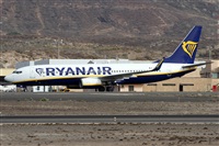 Alfonso Sols - Asociacin Canary Islands Spotting. Click to see full size photo