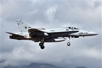 J. Victor Vega-Gran Canaria Spotters. Click to see full size photo