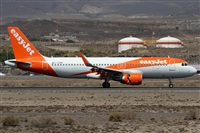 Alfonso Sols - Asociacin Canary Islands Spotting. Click to see full size photo