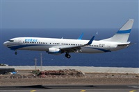 Alfonso Sols - Asociacin Canary Islands Spotting. Click to see full size photo