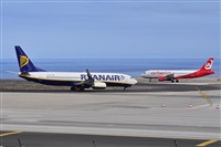 Miguel A. gueda Rguez.  (CANARY ISLANDS SPOTTING). Click to see full size photo