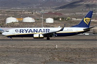 Alfonso Sols - Asociacin Canary Islands Spotting. Click to see full size photo