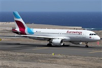 Alfonso Sols - Asociacin Canary Islands Spotting. Click to see full size photo