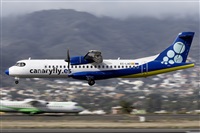 Daniel Santos Batista - Canary Islands Spotting. Click to see full size photo