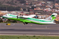 Javier de la Cruz - CANARY ISLANDS SPOTTING. Click to see full size photo