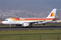 Javier de la Cruz - CANARY ISLANDS SPOTTING. Click to see full size photo