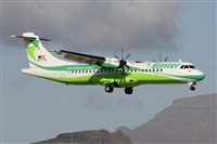 Alfonso Sols - Asociacin Canary Islands Spotting. Haz click para ampliar 