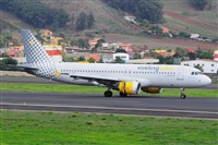 Miguel A. gueda Rguez.  (CANARY ISLANDS SPOTTING). Click to see full size photo