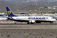 Alfonso Sols - Asociacin Canary Islands Spotting. Click to see full size photo