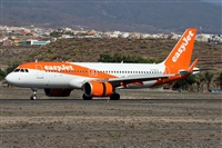 Alfonso Sols - Asociacin Canary Islands Spotting. Click to see full-size photo