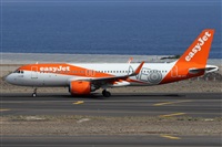 Alfonso Sols - Asociacin Canary Islands Spotting. Click to see full size photo