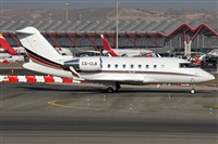 Alfonso Sols - Asociacin Canary Islands Spotting. Click to see full size photo