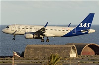 Adolfo Bento - Gran Canaria Spotters. Haz click para ampliar