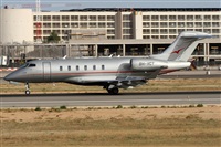 Alfonso Sols - Asociacin Canary Islands Spotting. Click to see full size photo