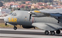 Gerardo A. Prez   Canary Islands Spotting. Click to see full size photo